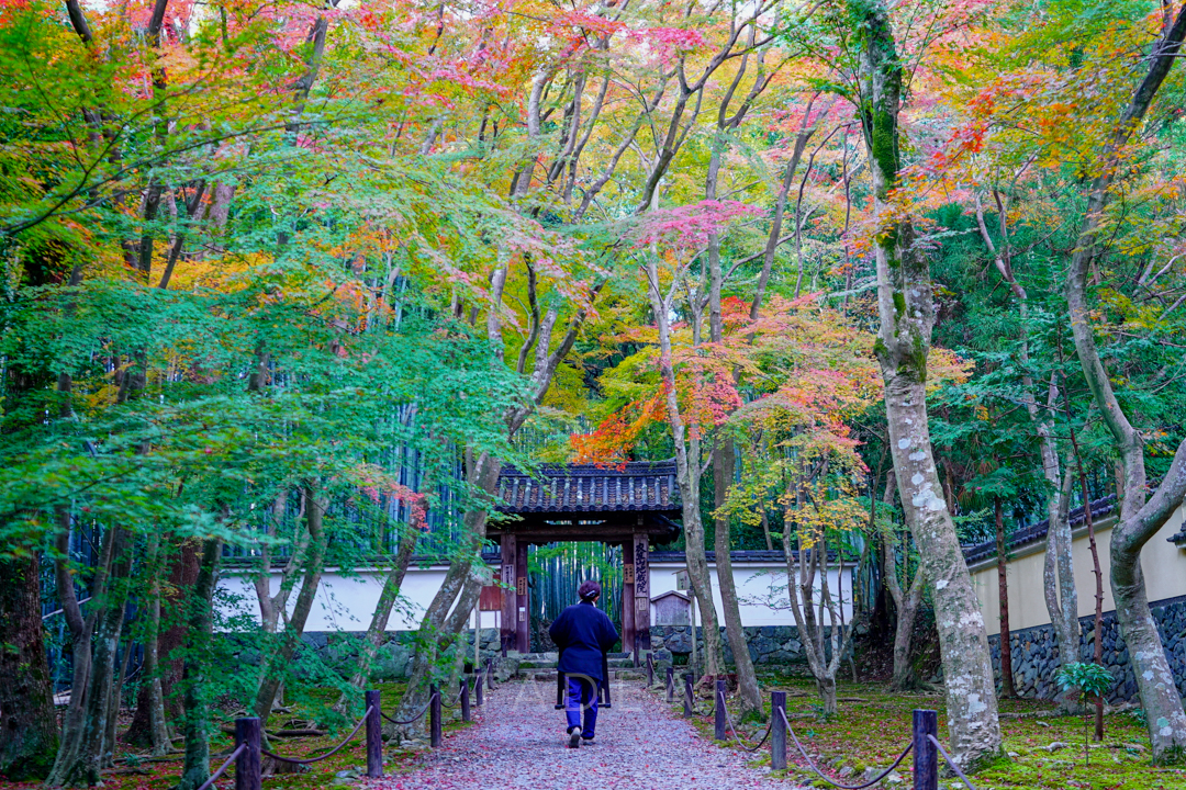 kyoto-temple