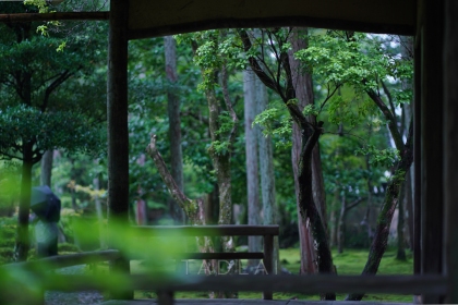 kyoto-temple
