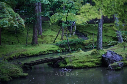 kyoto-temple