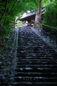 kyoto-temple
